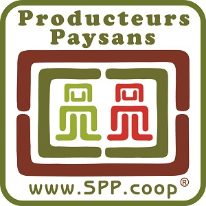 LOGO-SPP-300X300
