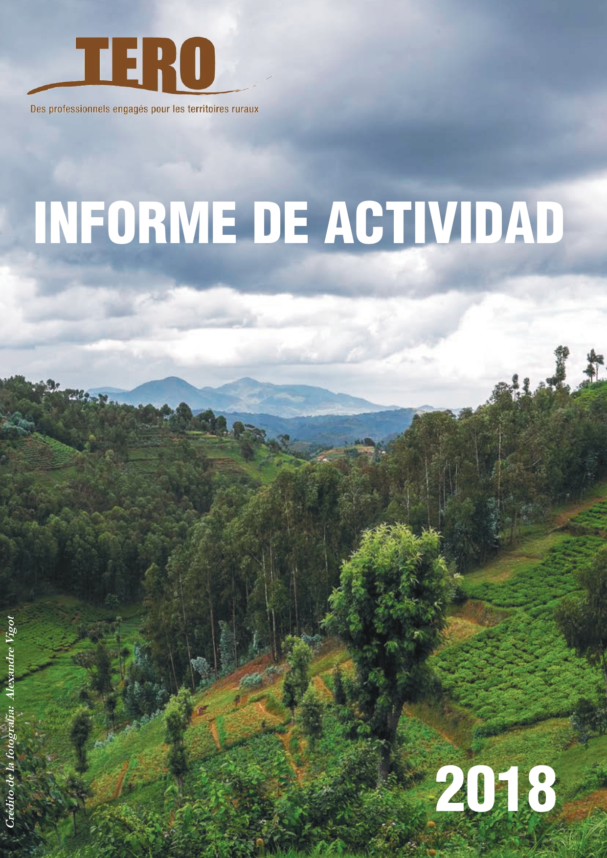 Informe 2018 pagina 1