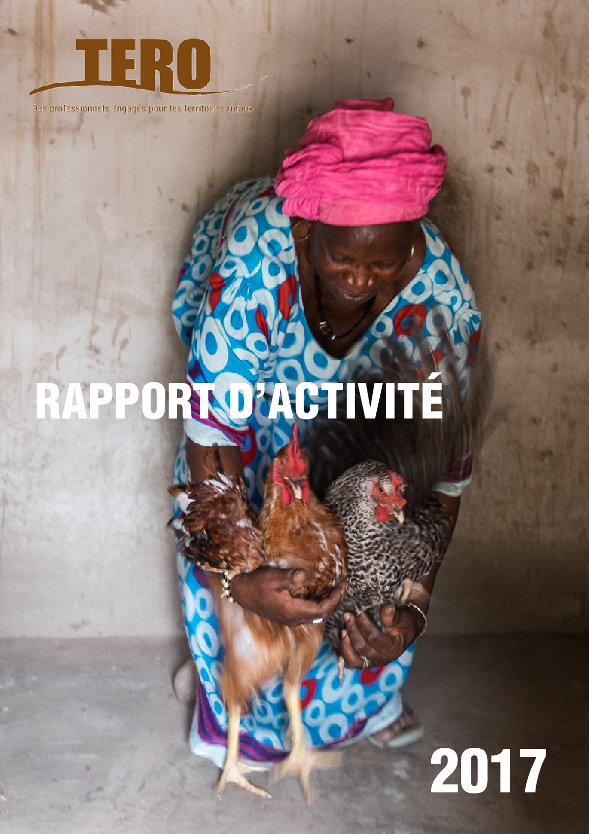 Rapport-dactivite-2017---couverture-001