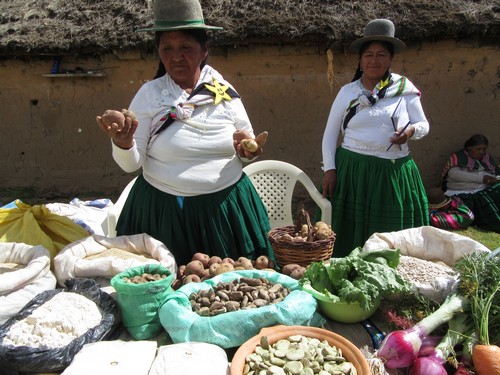 bolivie