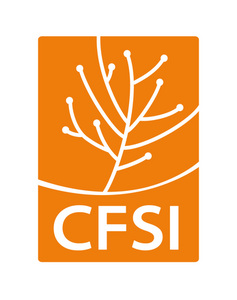 logo CFSI