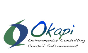 okapi